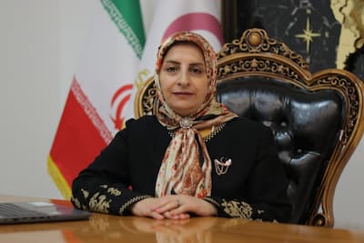 نیره گلچین